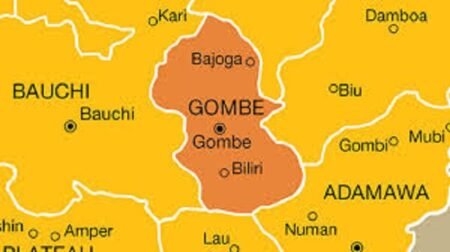 michigan-state-university-delegation-visits-gombe-evaluates