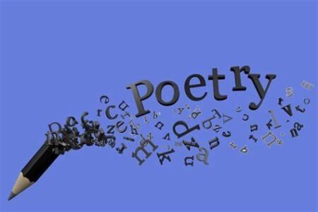 Understanding Poems: The Art, Tone, and Language of Expression