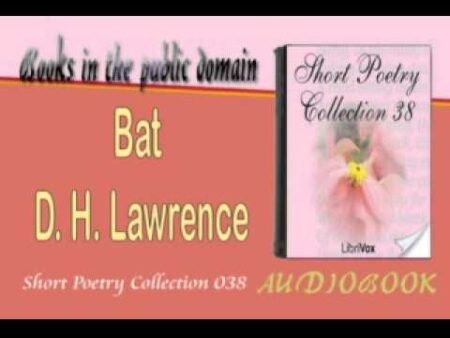 D.H. Lawrence's poem "Bats"