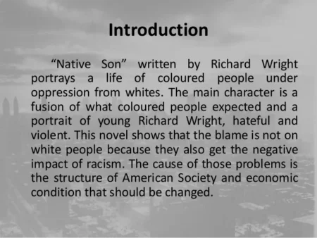 A Deep Dive into Native Son by Richard Wright: A Comprehensive Guide for Students and Educators