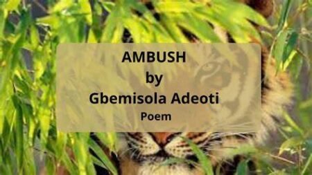 Figures of Speech in "Ambush" by Gbemisola Adeoti: A Deep Dive into the Poem