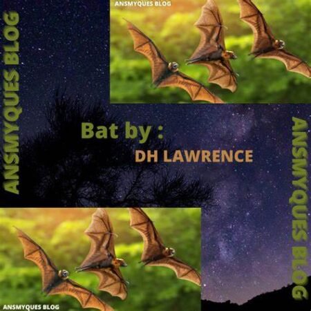 D.H. Lawrence “Bats”